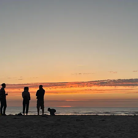 Jojotte's House * Genêts