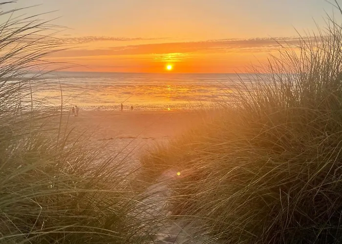 Jojotte's House Nyaraló Genêts