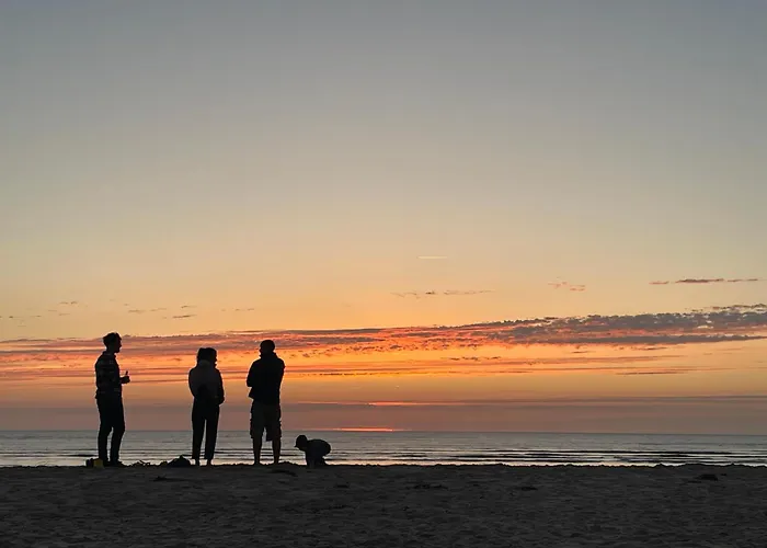 Jojotte's House * Genêts